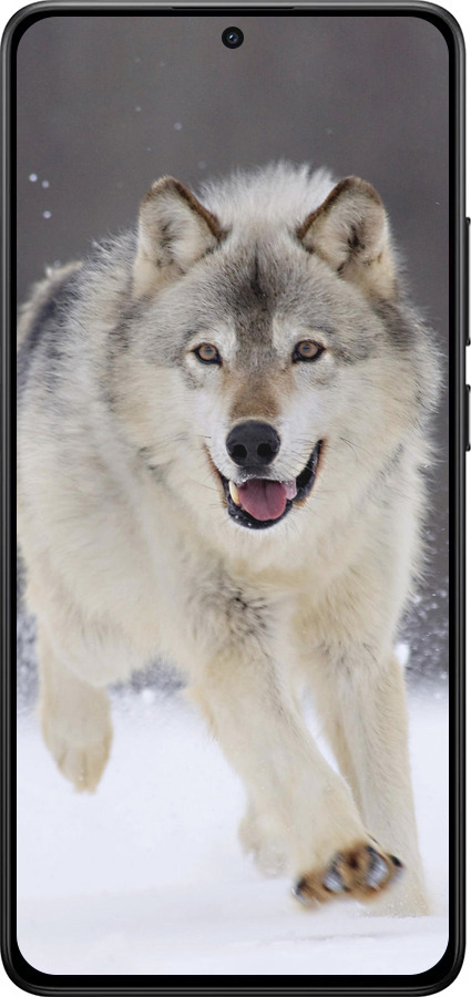 Силиконовый чехол Бегущий волк для Xiaomi POCO X7 PRO - 826u-3907 изображение 