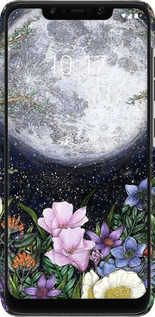 3D пластиковый матовый чехол Полночь в саду II для Xiaomi Pocophone F1 - 6424m-1556 изображение 