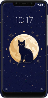 3D пластиковый матовый чехол Cute Cat Celestial/Witchy для Xiaomi Pocophone F1 - 6787m-1556 изображение 