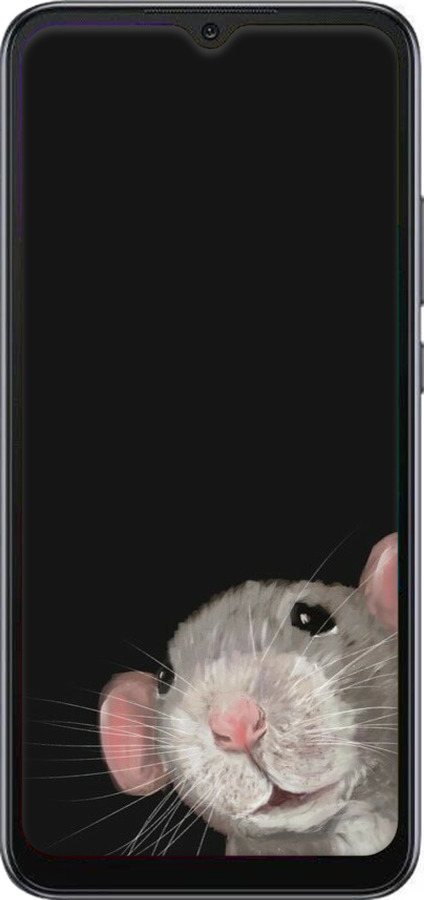 2D пластиковый чехол The Peeking Rat для Xiaomi Redmi 10A - 6442t-2578 изображение 