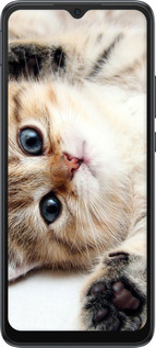 2D пластиковый чехол Котик для Xiaomi Redmi 10C - 6024t-2591 изображение 
