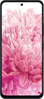 TPU чехол Хризантема для Xiaomi Poco M6 Pro 5G - 4666b-3859 изображение 