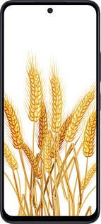 TPU чехол Колоски пшеници для Xiaomi Poco M6 Pro 5G - 5866b-3859 изображение 