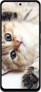 TPU чехол Котик для Xiaomi Poco M6 Pro 5G - 6024b-3859 изображение 