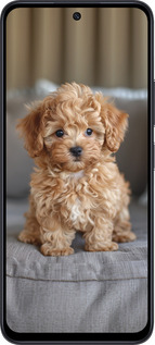 TPU чехол Mini-maltipoo для Xiaomi Poco M6 Pro 5G - 6158b-3859 изображение 