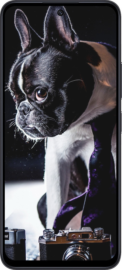TPU чехол Бульдог-фотограф для Xiaomi Poco M6 Pro 5G - 142b-3859 изображение 