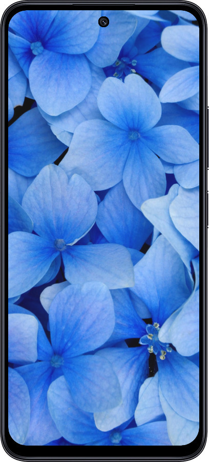 TPU чехол Синие цветы для Xiaomi Poco M6 Pro 5G - 526b-3859 изображение 