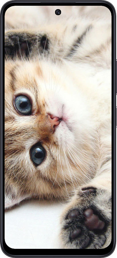TPU чехол Котик для Xiaomi Poco M6 Pro 5G - 6024b-3859 изображение 