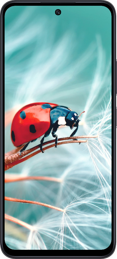 TPU чехол Божья коровка для Xiaomi Poco M6 Pro 5G - 6049b-3859 изображение 