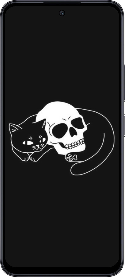 TPU чехол Із зображенням кота та черепа для Xiaomi Poco M6 Pro 5G - 6491b-3859 изображение 
