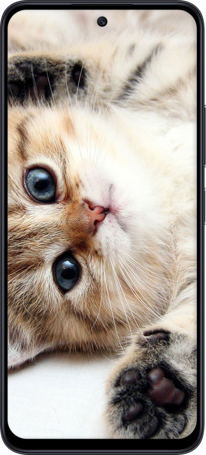 TPU чехол Котик для Xiaomi Redmi 12 - 6024b-3114 изображение 