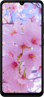 TPU чехол Сакура для Xiaomi Redmi 14C - 6029b-3768 изображение 