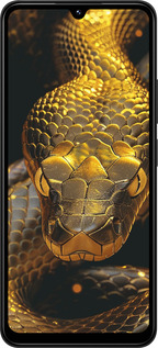 TPU чехол Golden snake для Xiaomi Redmi 14C - 6072b-3768 изображение 