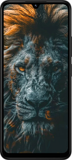 TPU чехол Лев в сумерках для Xiaomi Redmi 14C - 6154b-3768 изображение 