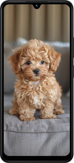 TPU чехол Mini-maltipoo для Xiaomi Redmi 14C - 6158b-3768 изображение 