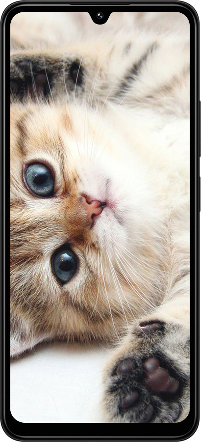 TPU чехол Котик для Xiaomi Redmi 14C - 6024b-3768 изображение 
