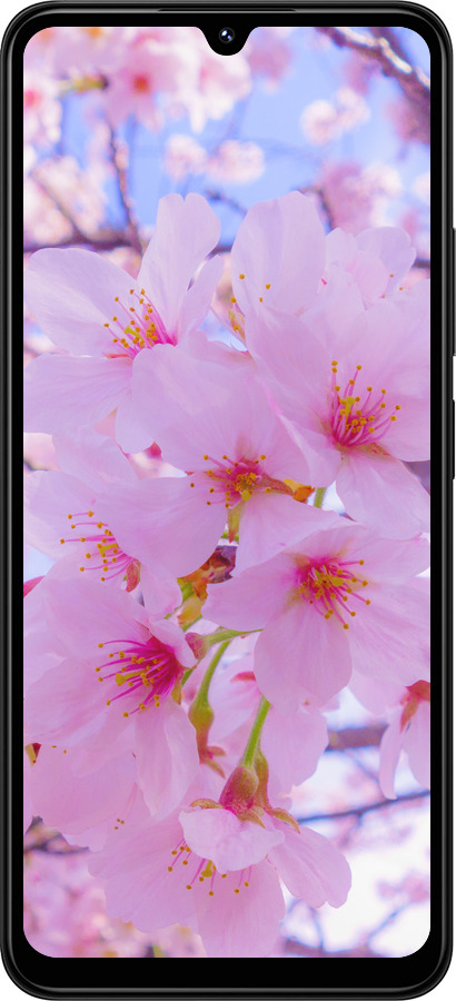 TPU чехол Сакура для Xiaomi Redmi 14C - 6029b-3768 изображение 