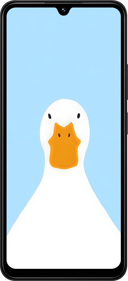 TPU чехол Гусь для Xiaomi Redmi 14C - 6350b-3768 изображение 