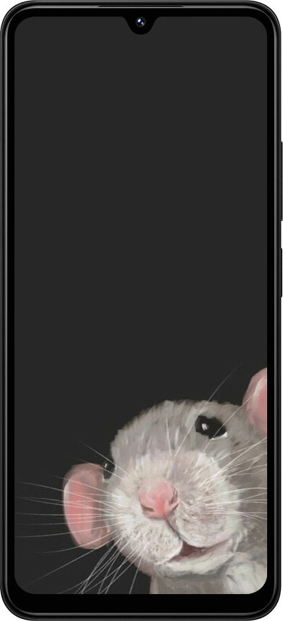 TPU чехол The Peeking Rat для Xiaomi Redmi 14C - 6442b-3768 изображение 