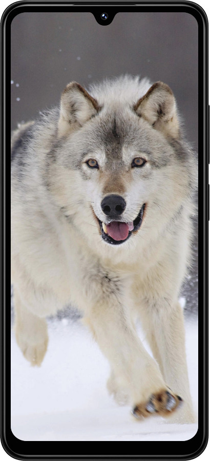 TPU чехол Бегущий волк для Xiaomi Redmi 14C - 826b-3768 изображение 