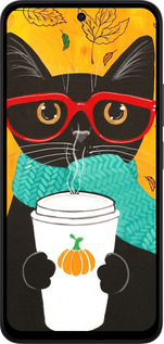 Силиконовый чехол Осенний кот для Xiaomi Redmi 15 4G - 4026u-4136 изображение 