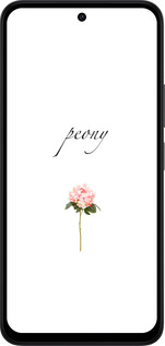 Силиконовый чехол Пион для Xiaomi Redmi 15 4G - 4366u-4136 изображение 