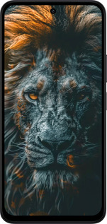 Силиконовый чехол Лев в сумерках для Xiaomi Redmi 15 4G - 6154u-4136 изображение 