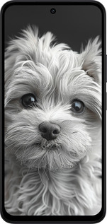 Силиконовый чехол Мальтипу на чорном фоне для Xiaomi Redmi 15 4G - 6156u-4136 изображение 