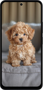 Силиконовый чехол Mini-maltipoo для Xiaomi Redmi 15 4G - 6158u-4136 изображение 