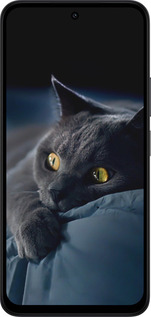 Силіконовий чехол Димчастий кіт для Xiaomi Redmi 15 4G - 825u-4136 изображение 