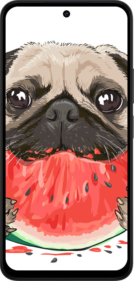 Силиконовый чехол Мопс и арбуз для Xiaomi Redmi 15 4G - 4665u-4136 изображение 