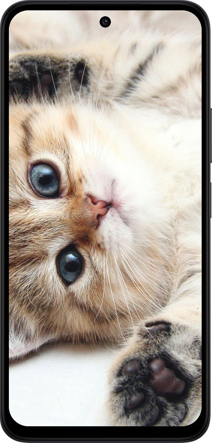 Силиконовый чехол Котик для Xiaomi Redmi 15 4G - 6024u-4136 изображение 