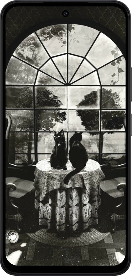 Силіконовий чехол Череп та коти для Xiaomi Redmi 15 4G - 6432u-4136 изображение 