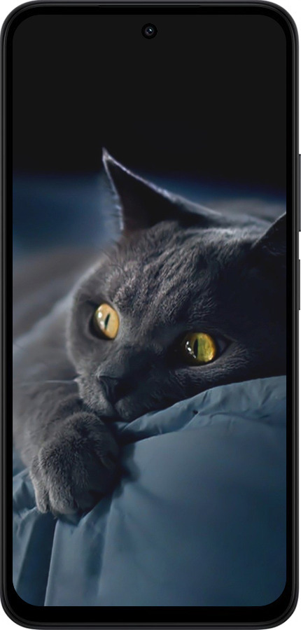 Силіконовий чехол Димчастий кіт для Xiaomi Redmi 15 4G - 825u-4136 изображение 