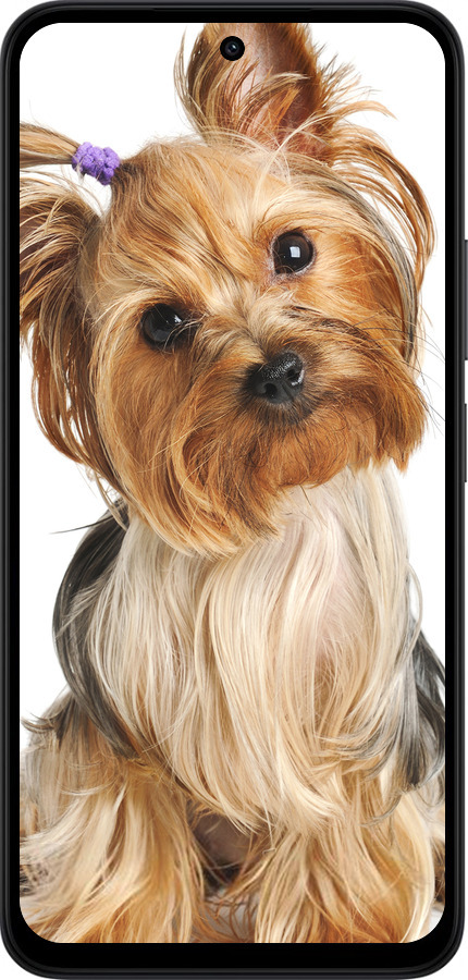 Силиконовый чехол Йоркширский терьер с хвостиком для Xiaomi Redmi 15 4G - 930u-4136 изображение 