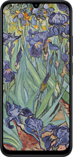 Силиконовый чехол Винсент Ван Гог. Ирисы для Xiaomi POCO C85 4G - 161u-4233 изображение 