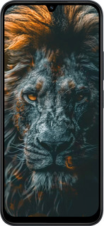 Силиконовый чехол Лев в сумерках для Xiaomi POCO C85 4G - 6154u-4233 изображение 