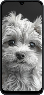 Силиконовый чехол Мальтипу на чорном фоне для Xiaomi POCO C85 4G - 6156u-4233 изображение 