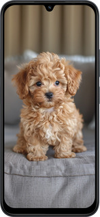 Силиконовый чехол Mini-maltipoo для Xiaomi Redmi 15C 4G - 6158u-4095 изображение 