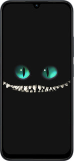 Силиконовый чехол Чеширский кот для Xiaomi POCO C85 4G - 689u-4233 изображение 