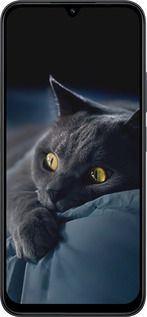 Силіконовий чехол Димчастий кіт для Xiaomi Redmi 15C 4G - 825u-4095 изображение 