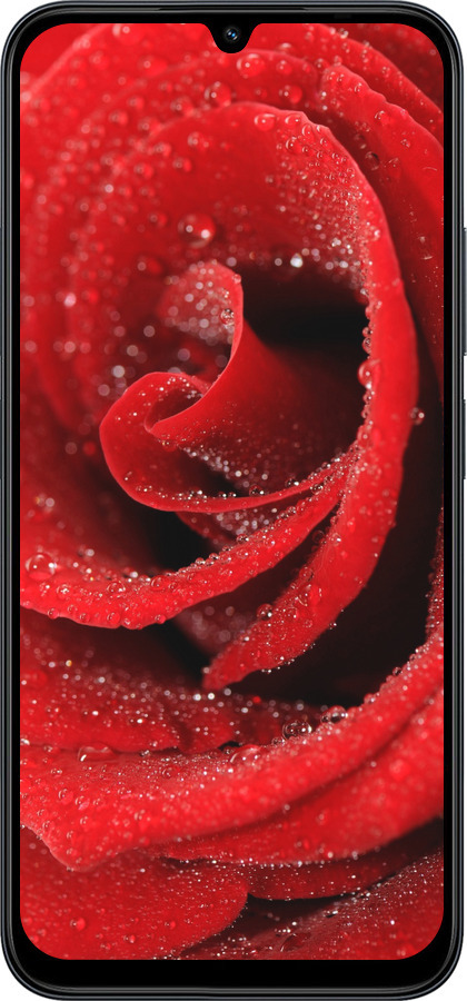 Силиконовый чехол Красная роза для Xiaomi Redmi 15C 4G - 529u-4095 изображение 