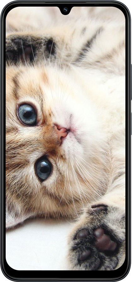 Силиконовый чехол Котик для Xiaomi POCO C85 4G - 6024u-4233 изображение 