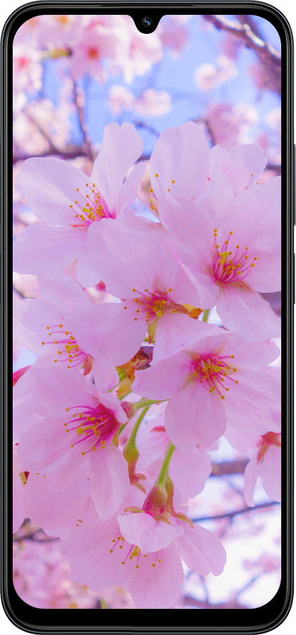 Силиконовый чехол Сакура для Xiaomi POCO C85 4G - 6029u-4233 изображение 