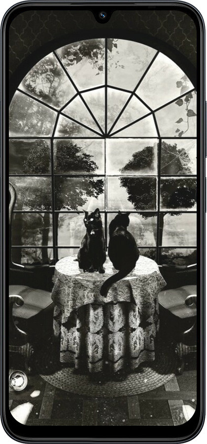 Силіконовий чехол Череп та коти для Xiaomi Redmi 15C 4G - 6432u-4095 изображение 