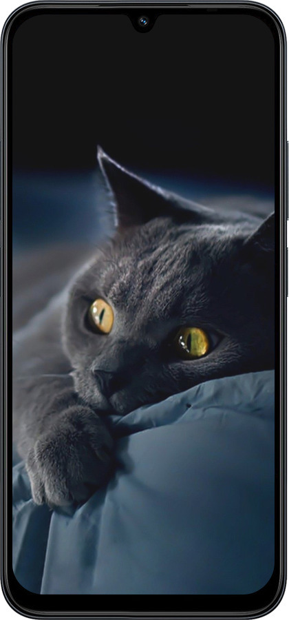 Силіконовий чехол Димчастий кіт для Xiaomi Redmi 15C 4G - 825u-4095 изображение 