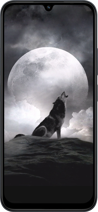 Силиконовый чехол Воющий волк для Xiaomi POCO C85 4G - 934u-4233 изображение 