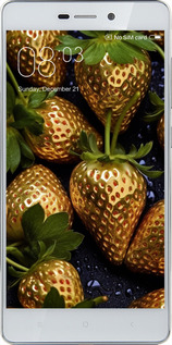 2D пластиковый чехол Золотая клубника для Xiaomi Redmi 3 - 5637t-97 изображение 