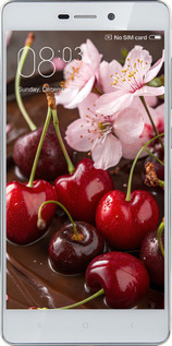 2D пластиковый чехол Вишня в шоколаде для Xiaomi Redmi 3 - 6698t-97 изображение 