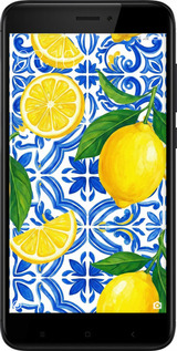 Силиконовый чехол Grocery Girl Italian Summer для Xiaomi Redmi 4X - 6766u-778 изображение 